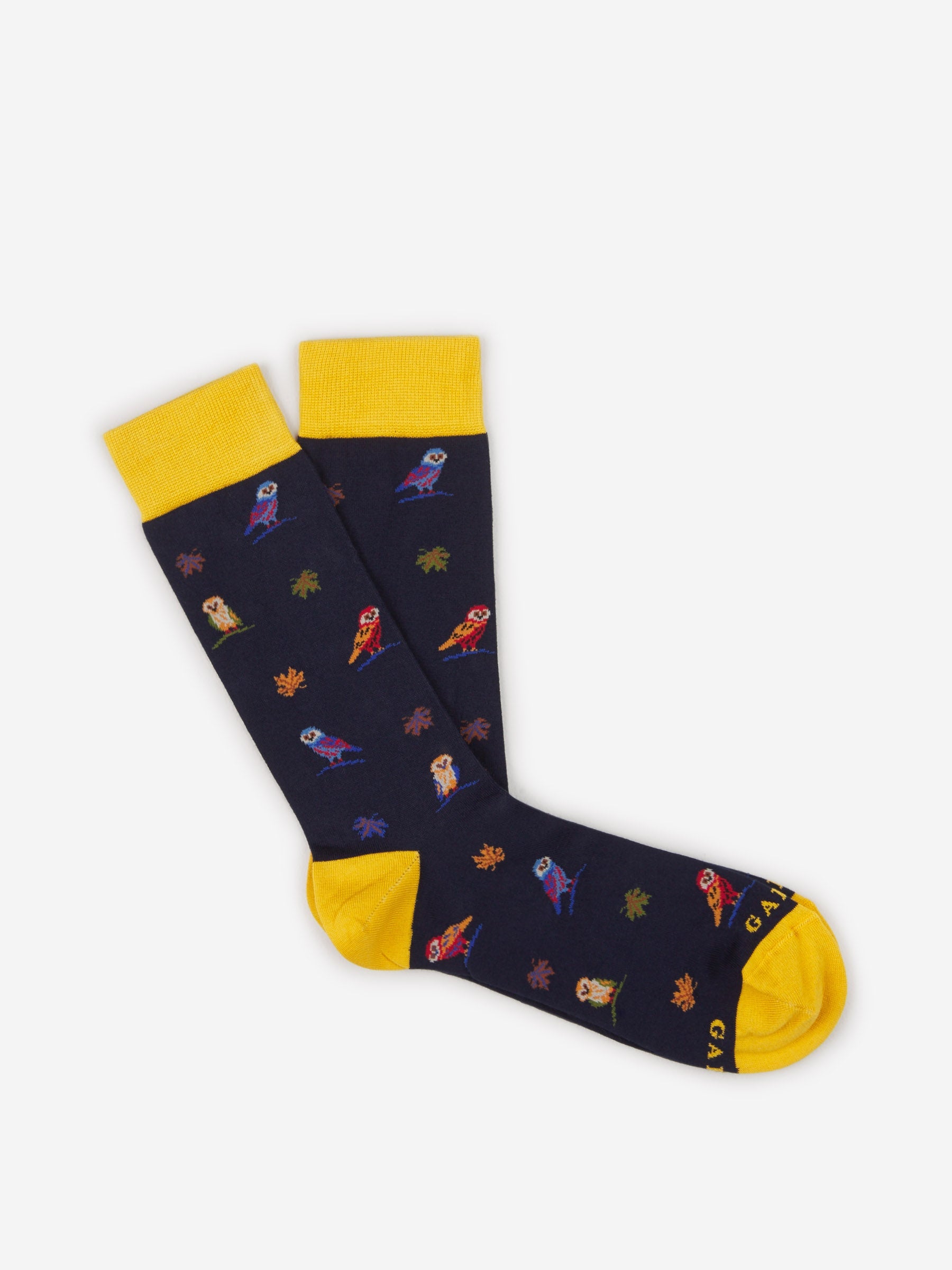 Outlet online Gallo Hombre Calcetines Búho Algodón color Azul Marino sku 641-000168 01 - Foto 1