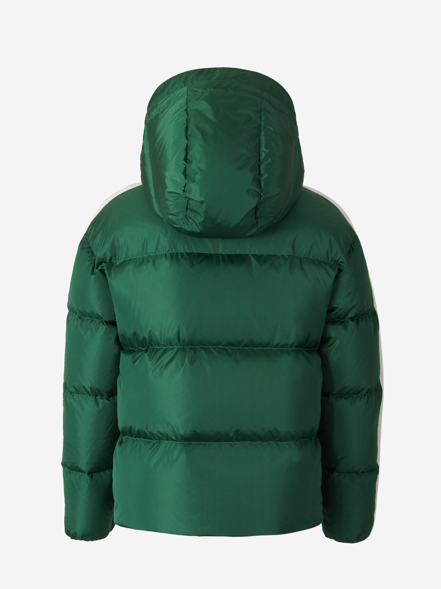 Outlet online Palm Angels Hombre Chaqueta Técnica Acolchada color Verde Oscuro sku 512-002027 02 - Foto 11