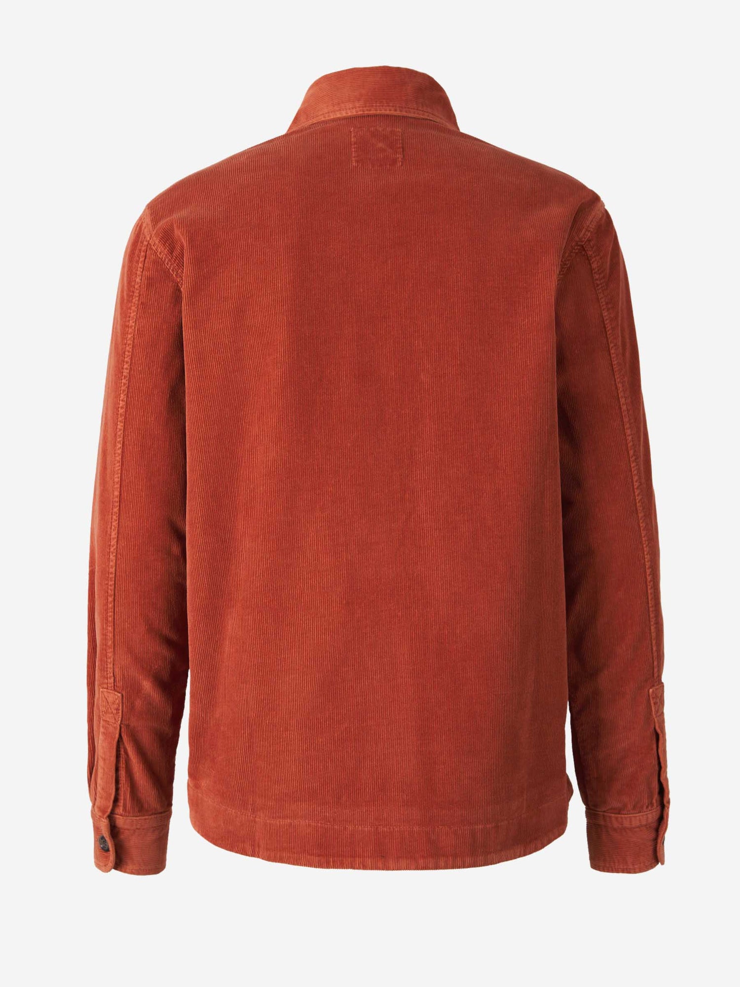 Outlet online Richard J. Brown  Sobrecamisa Micro Pana color Terracota sku 513-000005 01 - Foto 2