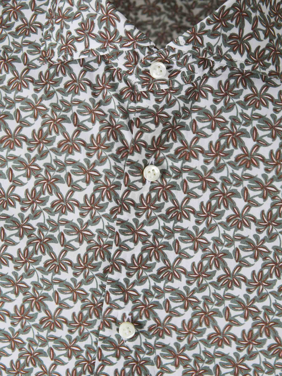 Outlet online Vincenzo di Ruggiero Hombre Camisa Estampado Algodón color Verde sku 531-006485 01 - Foto 2