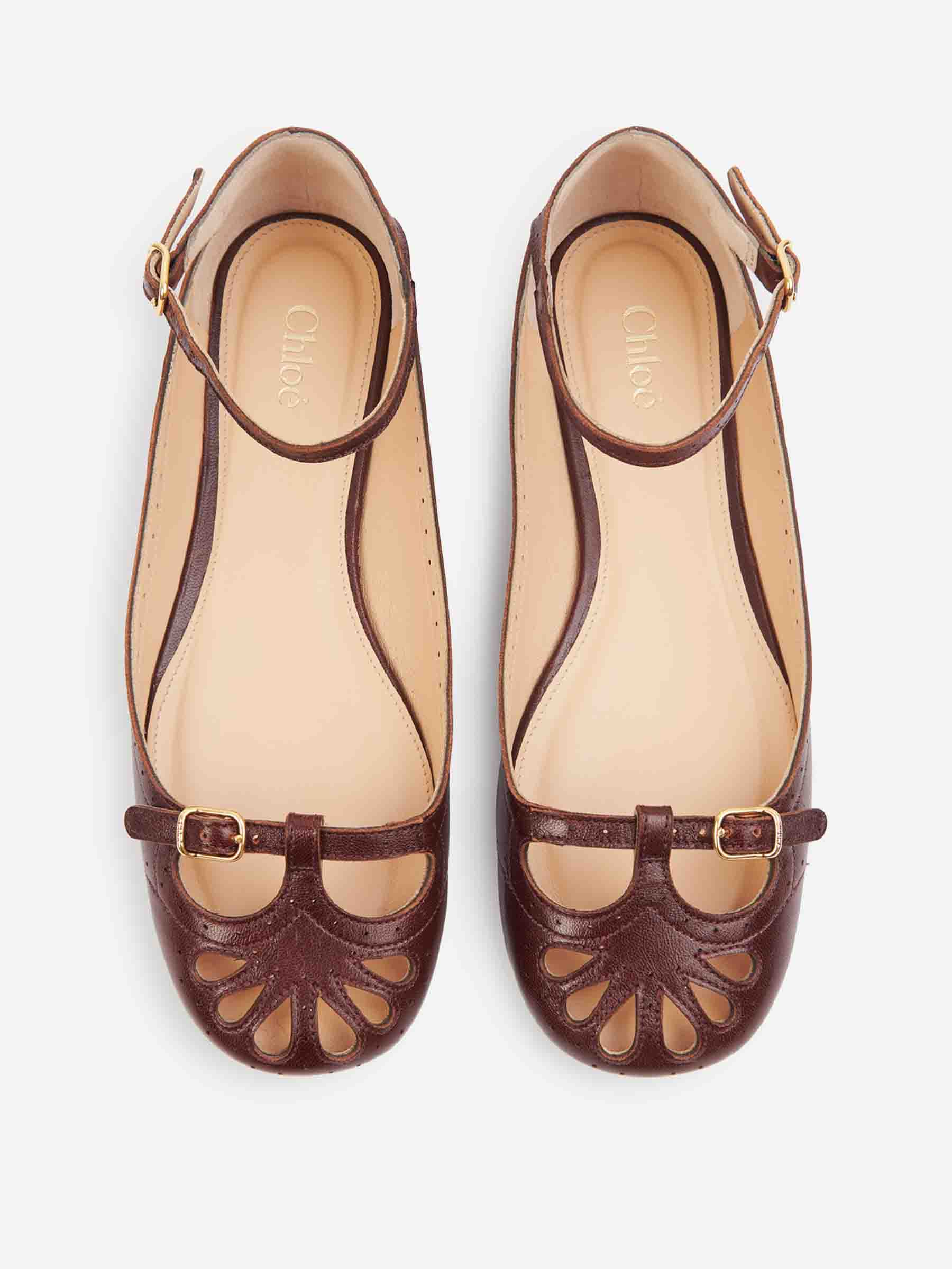 Outlet online Chloé Mujer Bailarinas Misty color Marrón Oscuro sku 802-000010 01 - Foto 3
