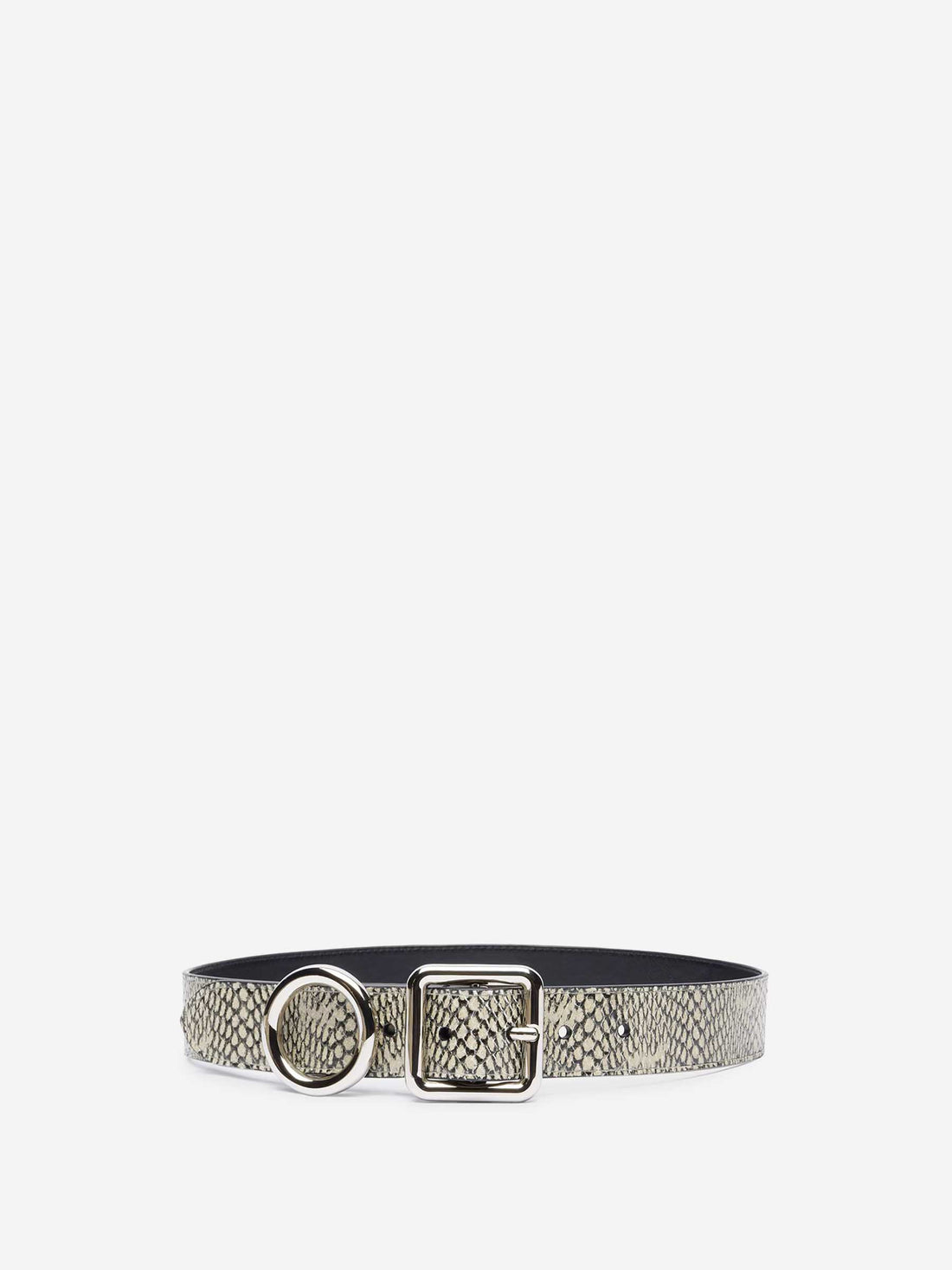 Jacquemus Mujer Barcelona Cinturón Circulo Cuadrado color Serpiente sku 830-000384 01 - Foto 1