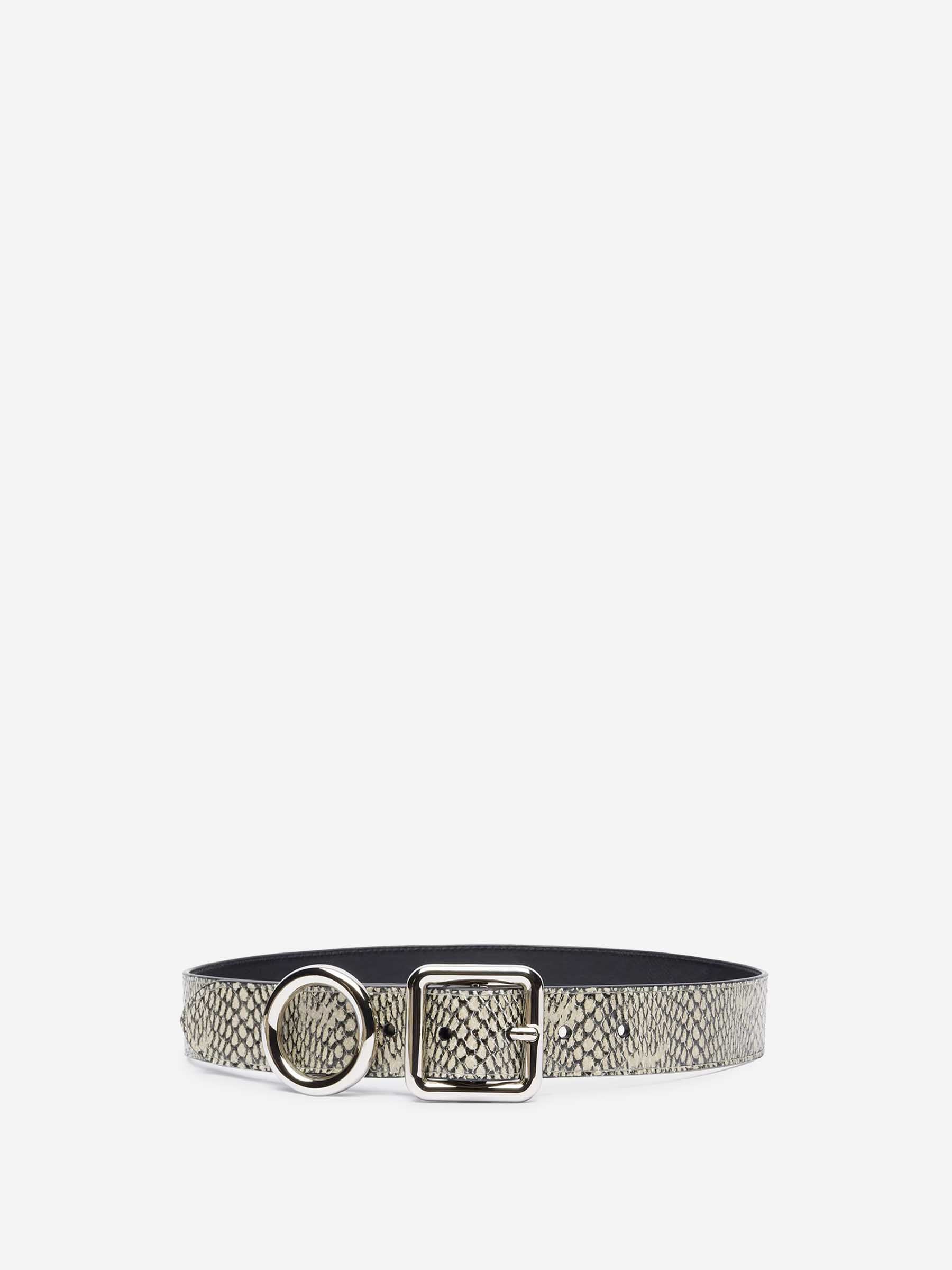 Jacquemus Mujer Barcelona Cinturón Circulo Cuadrado color Serpiente sku 830-000384 01 - Foto 1