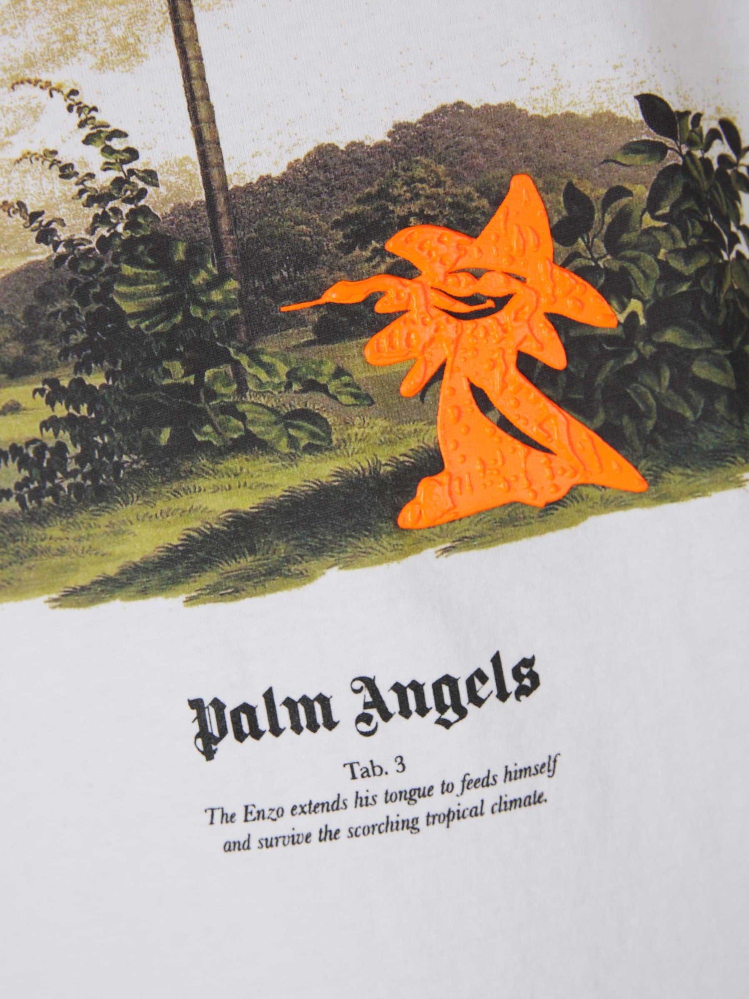 Palm Angels Camiseta Gráfico Estampado color Blanco sku 553-003293 01 - Foto 3